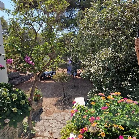 Hortenzija Apartament Maslinica