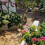 Hortenzija * מסליניצה