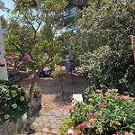 Hortenzija דירה מסליניצה