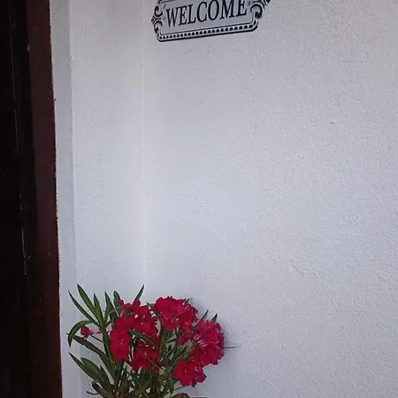 Apartment Hortenzija Maslinica