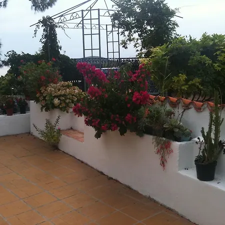 Apartment Hortenzija